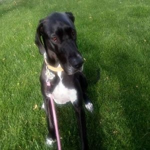 Meet your Posher, Hanah